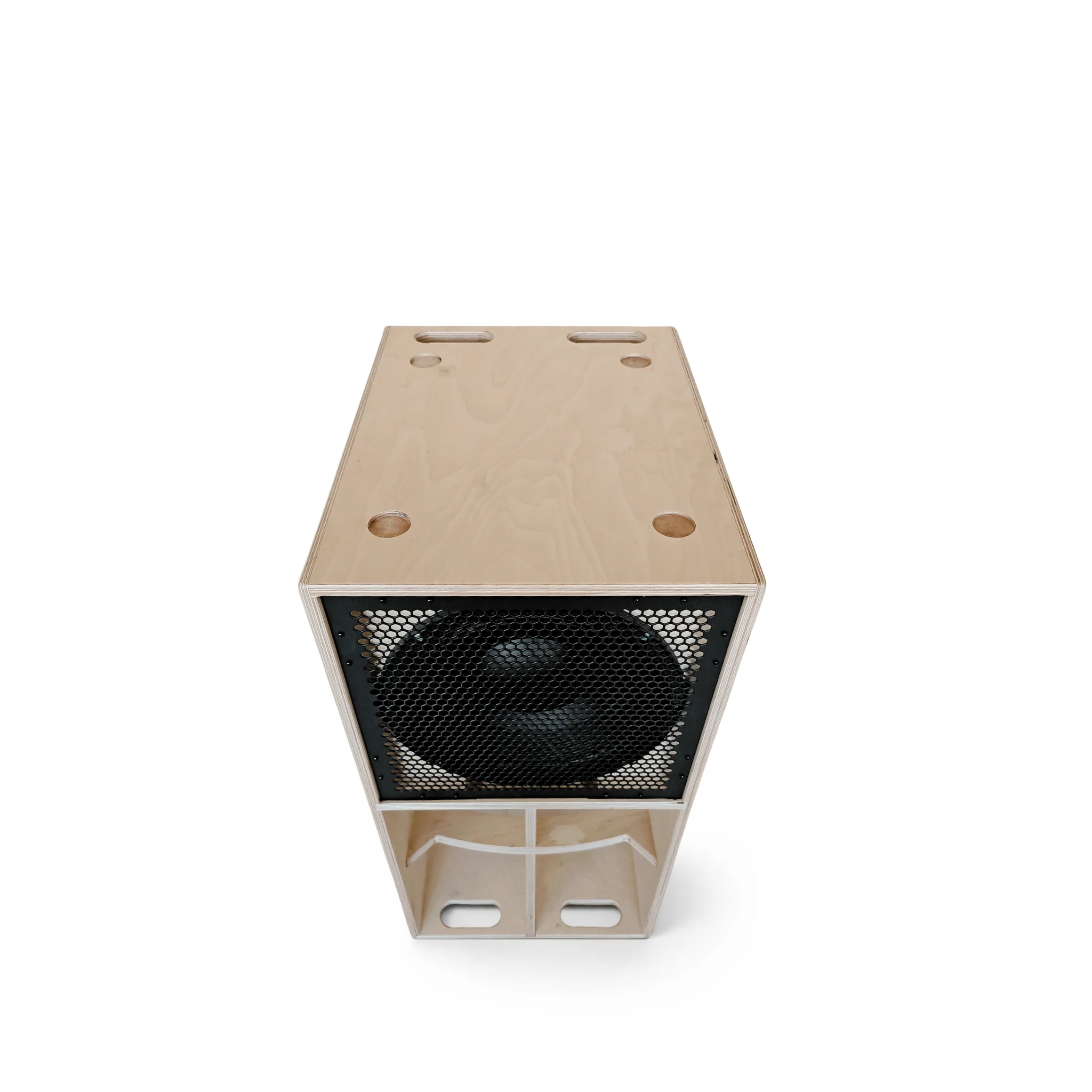 Faya 12-inch Subwoofer - Image 3