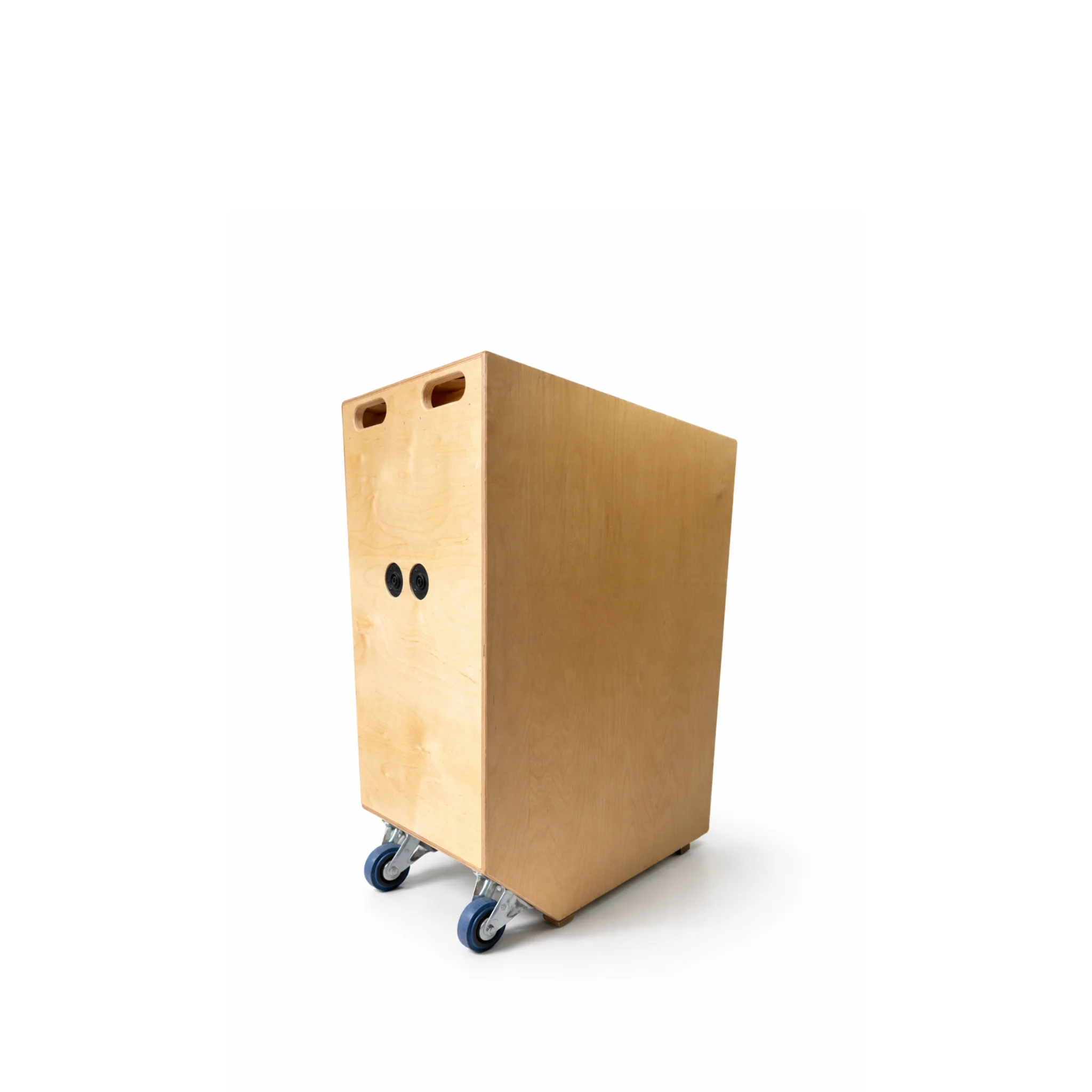 LAVA Subwoofer - Image 4