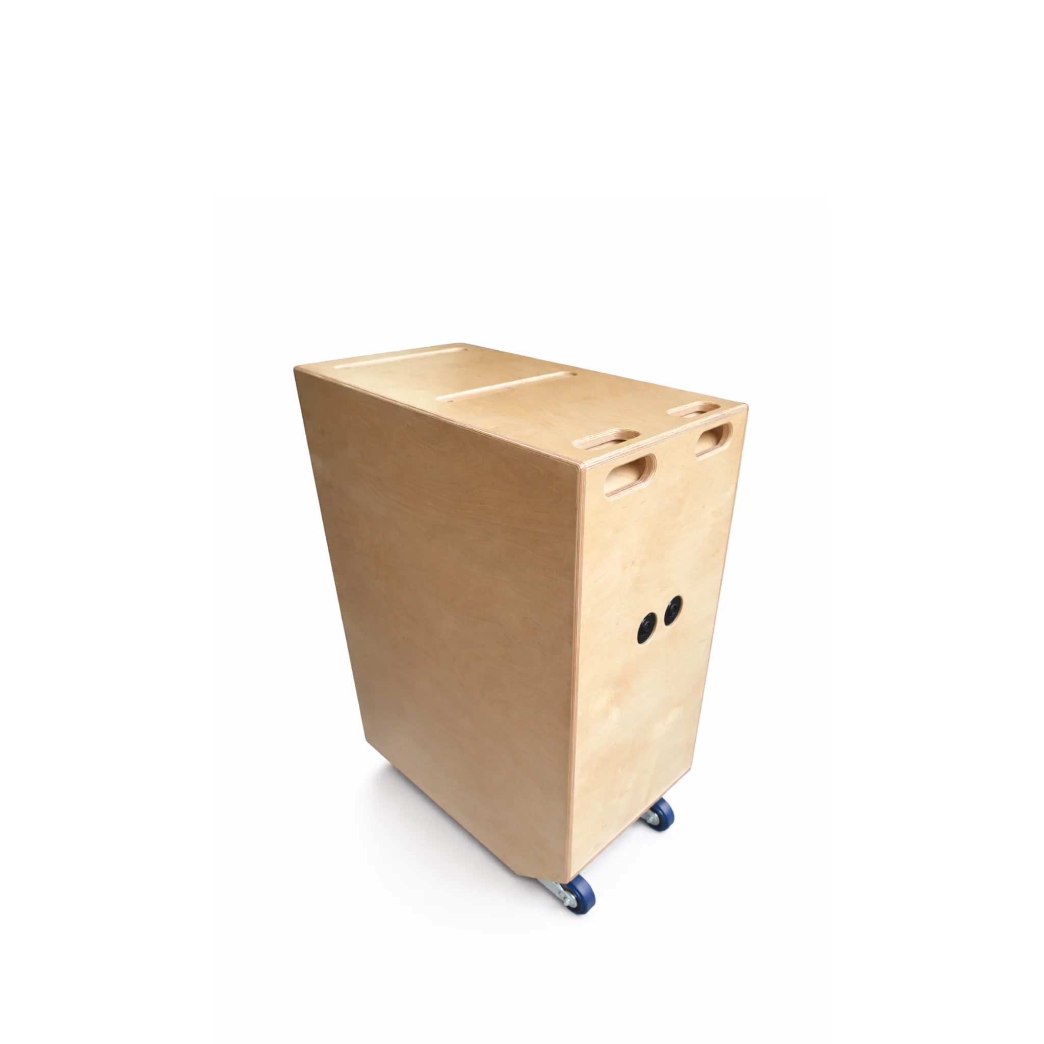LAVA Subwoofer - Image 5